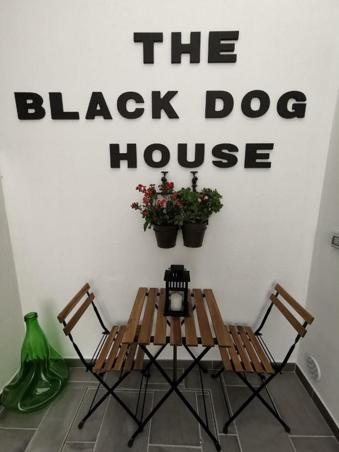 The Black Dog House Valenzano Ngoại thất bức ảnh
